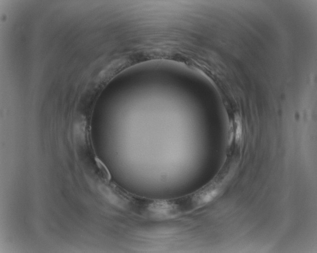 X0000062600231200512211119