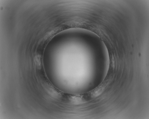 X0000062600232200512211119