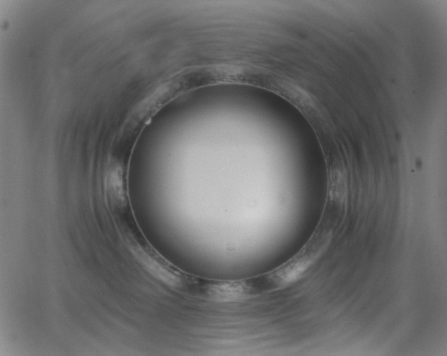 X0000062600238200512211118