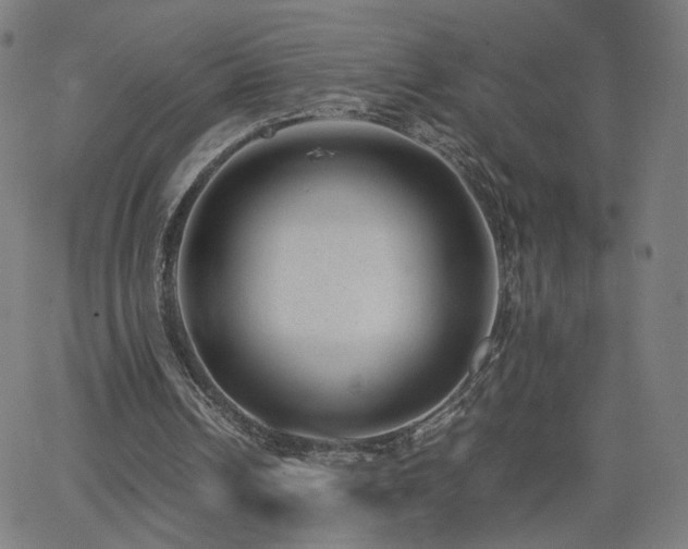 X0000062600242200512211118