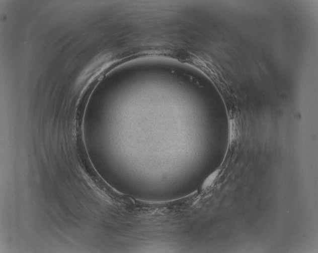 X0000062600243200512211118