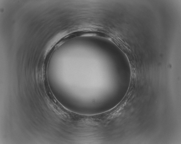 X0000062600244200512211118