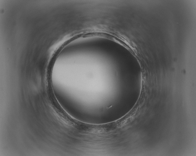 X0000062600248200512211118
