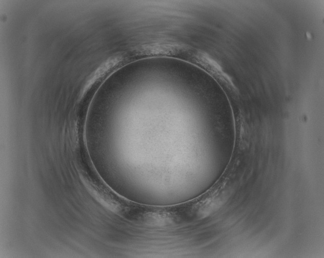 X0000062600250200512211118