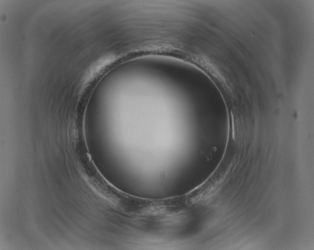 X0000062600252200512211118