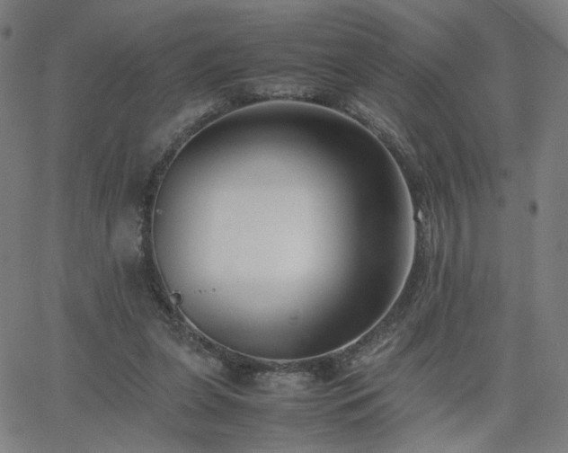 X0000062600255200512211118