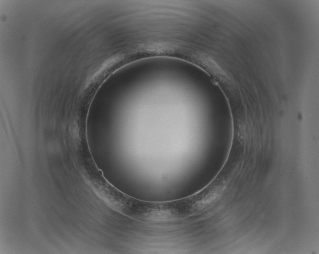 X0000062600256200512211118