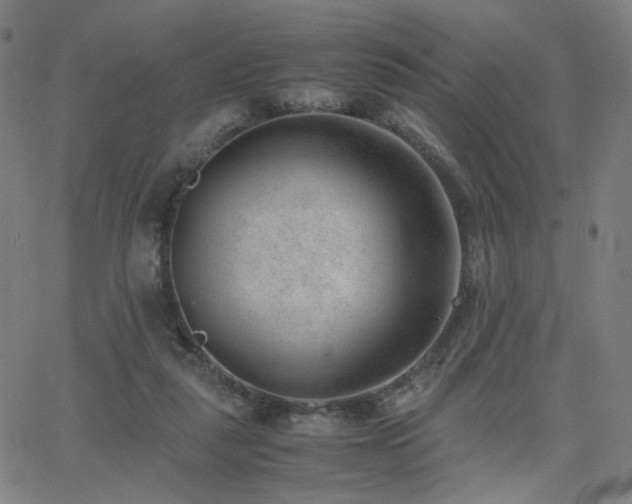 X0000062600259200512211118