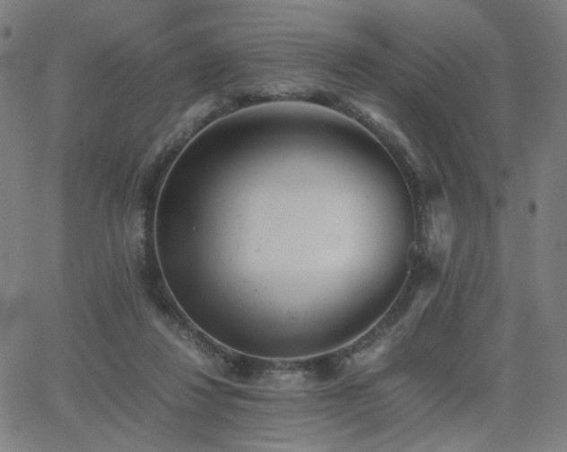 X0000062600260200512211118