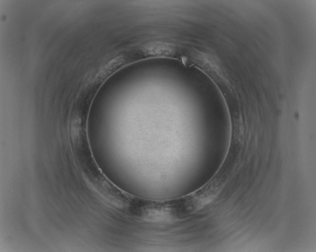 X0000062600263200512211118