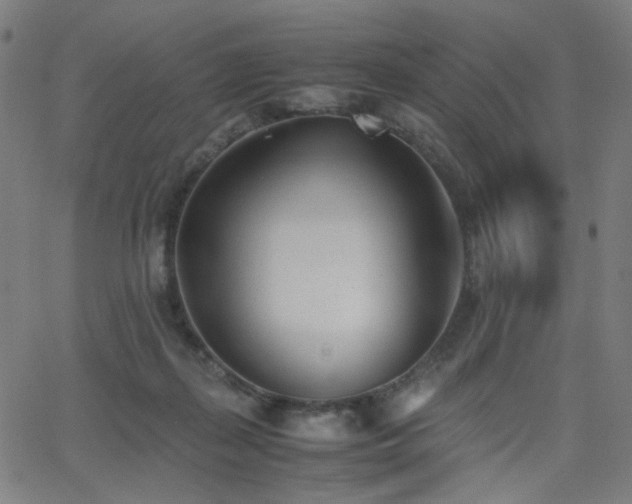 X0000062600267200512211118