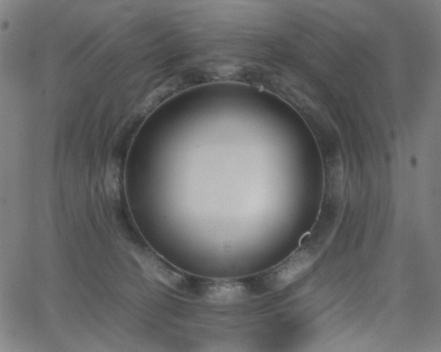 X0000062600274200512211118
