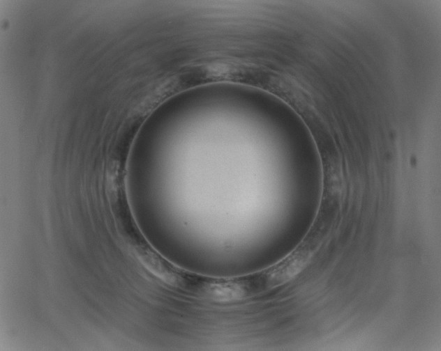 X0000062600275200512211118