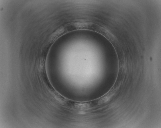 X0000062600277200512211118