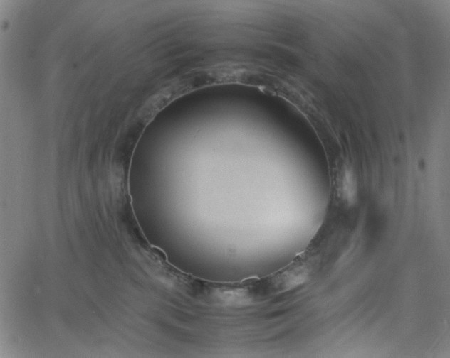 X0000062600283200512211118