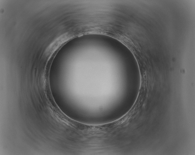 X0000062600290200512211118