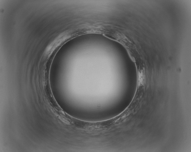 X0000062600291200512211118