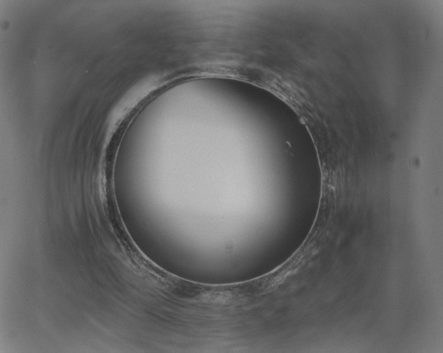 X0000062600294200512211117