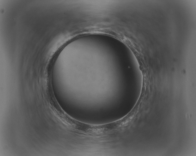 X0000062600295200512211117