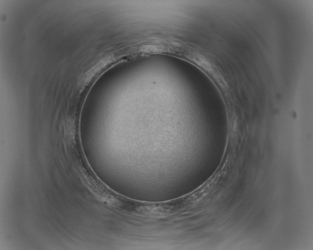 X0000062600297200512211117