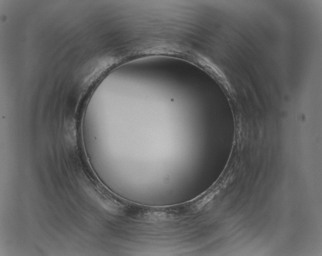 X0000062600298200512211117