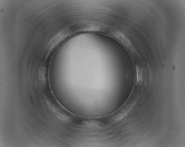 X0000062600300200512211117