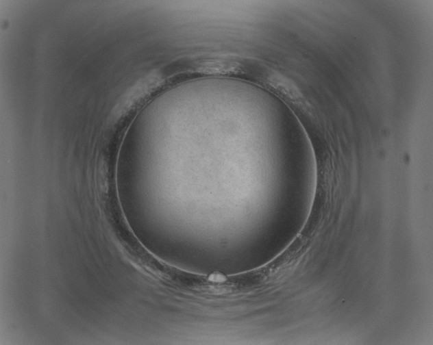 X0000062600303200512211117