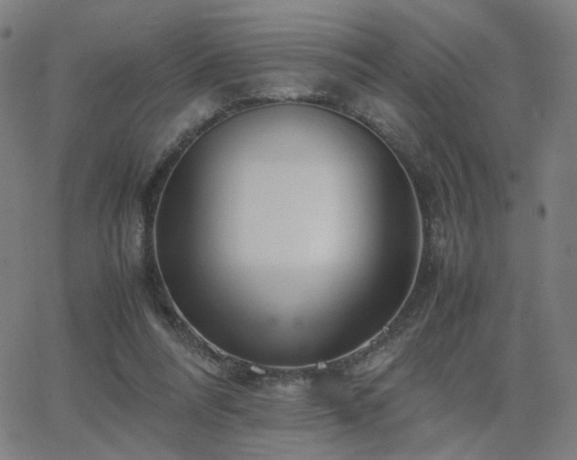 X0000062600304200512211117