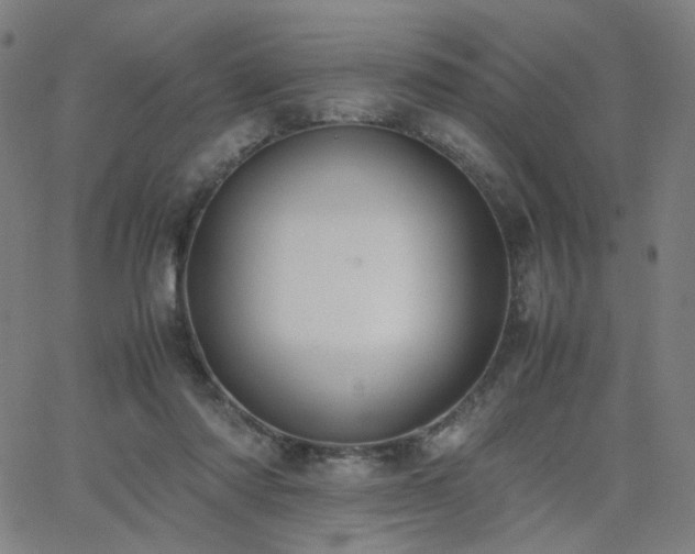 X0000062600310200512211117