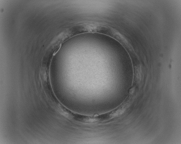 X0000062600313200512211117