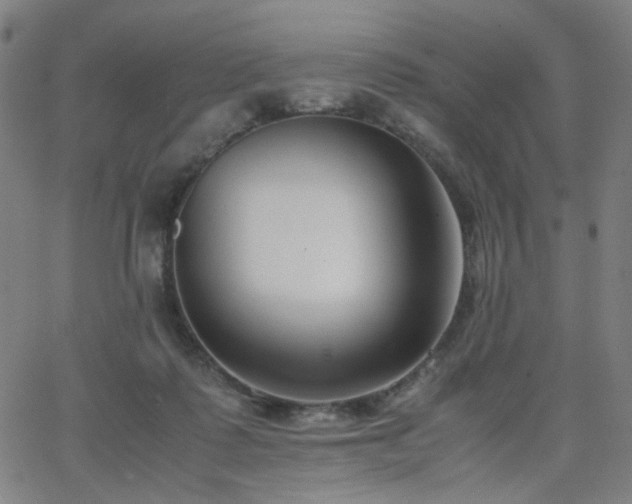 X0000062600315200512211117