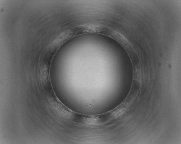 X0000062600318200512211117