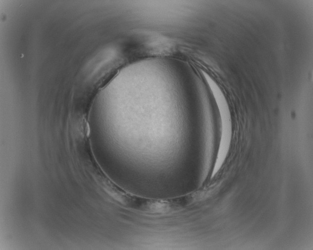 X0000062600325200512211117