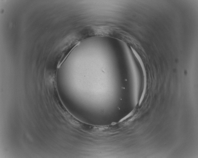 X0000062600329200512211117
