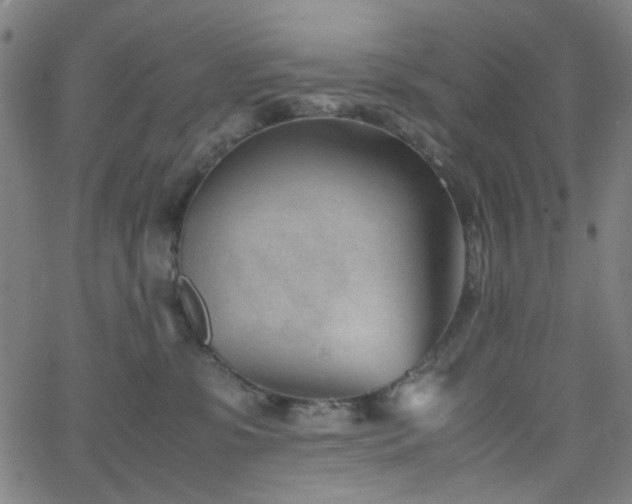 X0000062600331200512211117