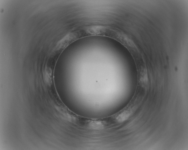 X0000062600332200512211117
