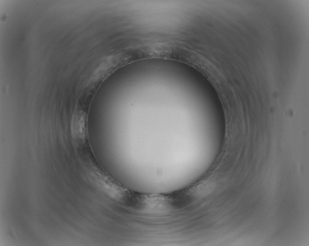 X0000062600336200512211117
