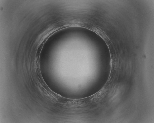 X0000062600338200512211116
