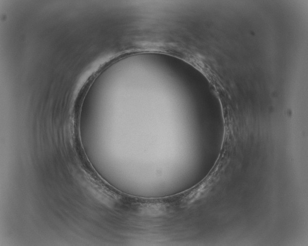 X0000062600342200512211116