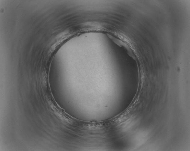 X0000062600345200512211116