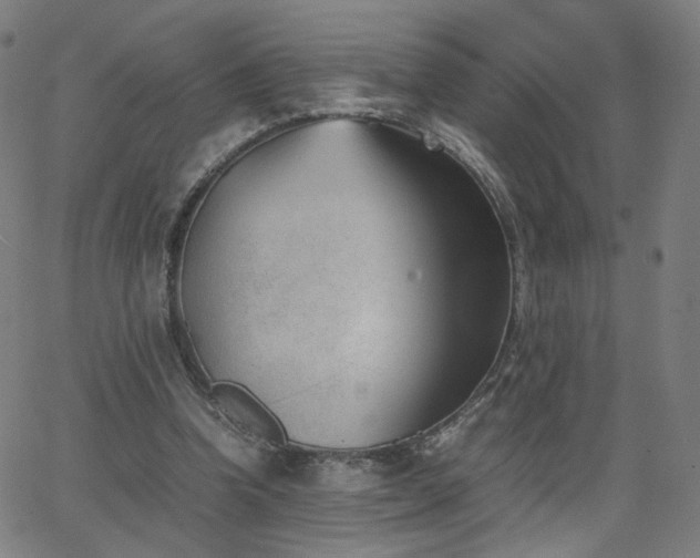 X0000062600346200512211116