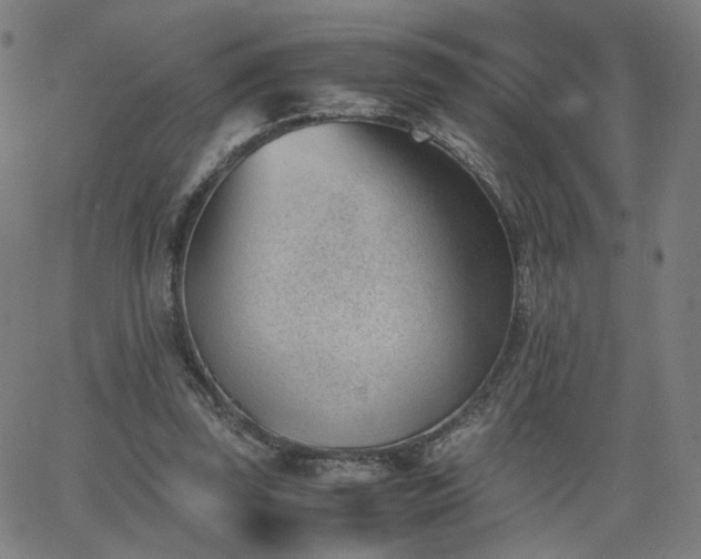 X0000062600347200512211116