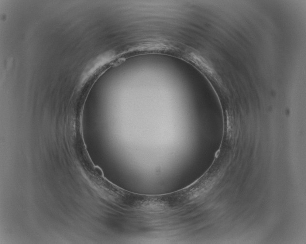 X0000062600348200512211116