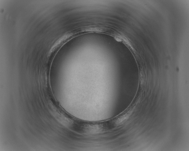X0000062600349200512211116