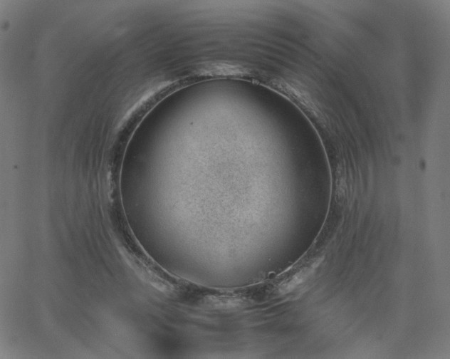 X0000062600351200512211116