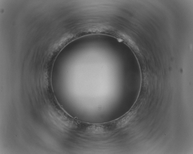 X0000062600354200512211116