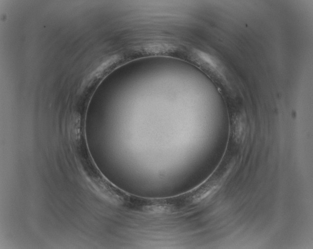X0000062600356200512211116