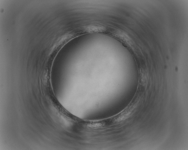 X0000062600357200512211116