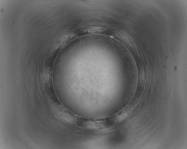 X0000062600367200512211116