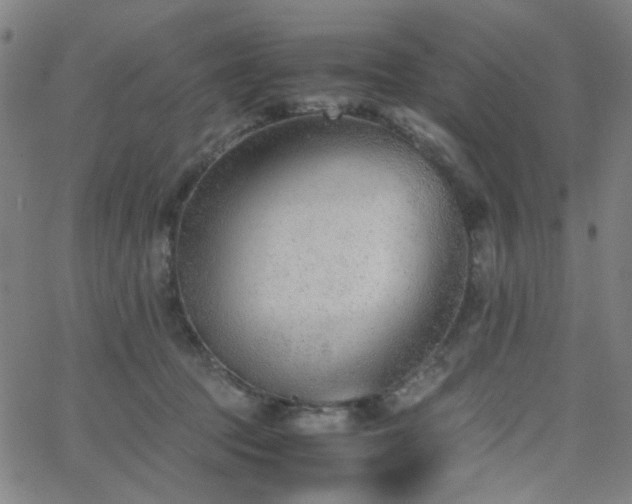 X0000062600369200512211116